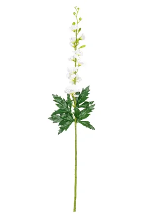 Achat Immédiat Branche de delphinium blanche et verte